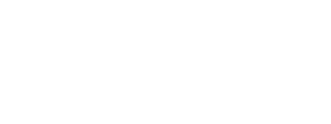 ANN